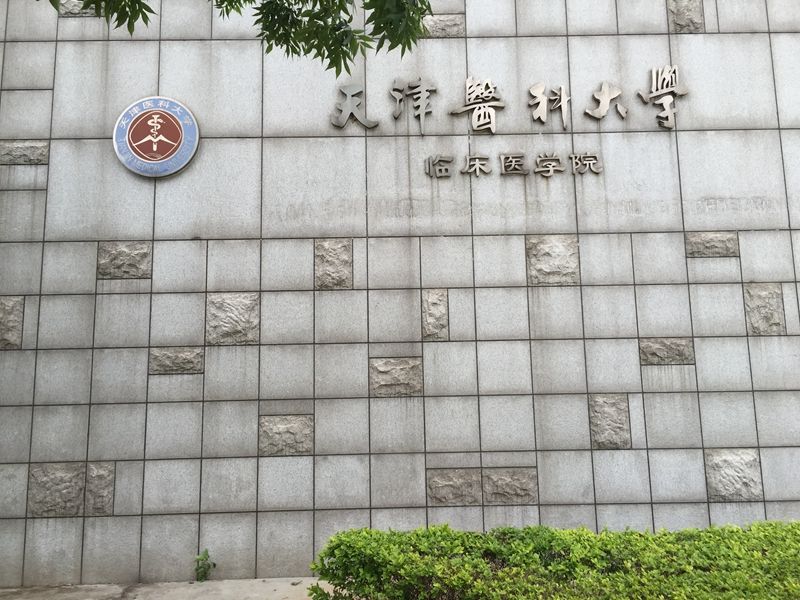 天津 天津医科大学 临床医学院